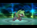 【ポケモンＯＲ】１２年越しの実況プレイ　part16