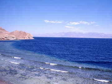 アイドル達と昭和日本　第40話  冬休みは紅海で