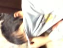 かわいいゆうきゃんくんと野生の ゴリラ