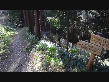 男二人の気まま旅（五常の滝、北向き地蔵、物見山編）