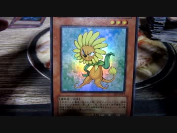 【開封動画】10数年振りの遊戯王【オリパ】Part34