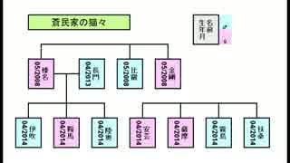 【生後242日】きょうの仔猫【蒼民家の猫々】