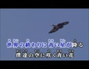 【カラオケ】　青い太陽　SEKAI NO OWARI　【off vocal】