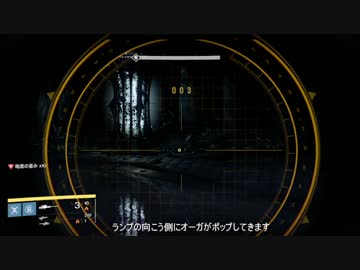 【Destiny】月レイド 深淵 ソロ 全キャラ対応