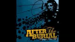 After the Burial - A Steady Decline