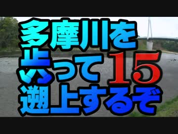 【ゆっくり旅行】多摩川を歩って遡上するぞ１５【美しき渓流編】