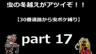 【第2世代】30番道路から虫パで攻略part 17【実況】