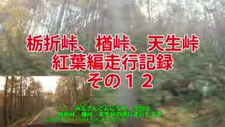 栃折峠、楢峠、天生峠紅葉編走行記録　その１２