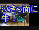 【地方紙一面】負け犬の言い訳【投げやり】
