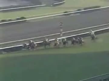 有馬記念で奇跡を見せたトウカイテイオーUC