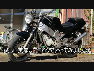 レプリカ嫌いが【RGV250Γ】買ってみた 2　ウルフ250化編