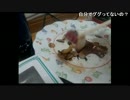 全一 27歳誕生日に送られた最高級牛肉 ステーキ料理配信 ３枚目 part03