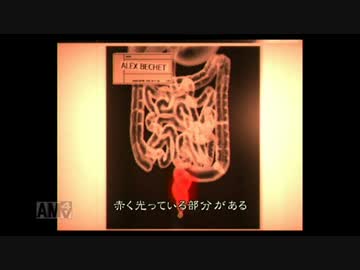 第十六回　バイオハザード演習　報告書