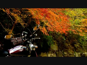 ST250 秋のツーリング その2