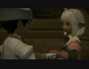 【FF14】ふぁらの紀行録　裁縫師Lv50