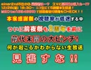 【超緊急告知】オールスター年末祭2014まであと5日【エビマヨ】
