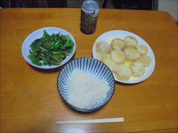 市民農園を借りて野菜を作ってみる【16週目】