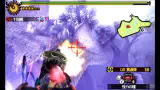 【MH4G】Lv140 シャガルマガラ　ヘビィボウガン　6'00