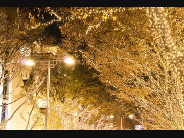 【KAITOオリジナル】夜のジングル、おうちでチキン【30秒】