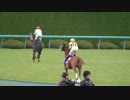 【現地撮影】アッシュゴールドの返し馬【朝日杯】