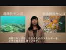 光が不要なサンゴの古生物学的研究