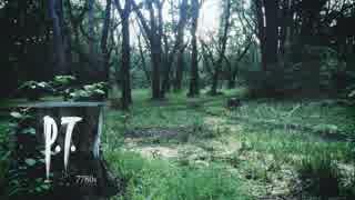 test p.t.