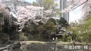 平成26年　靖國神社：四季