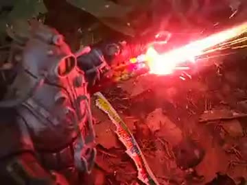 Bio Shock バイオショック ビッグダディのインフェルノ Lv2 花火 攻略 ニコニコ動画