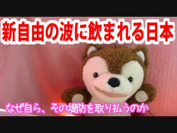 新自由主義の波に飲まれる日本。なぜ自らその堤防を取り払うのか