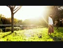 【思うままに】morning haze【踊ってみた】