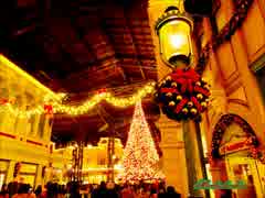 写真で巡る東京ディズニーリゾート「Xmasディズニーランド編」