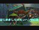 はじめましてのモンハン５５日目