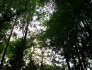 ひぐらし同人　-望崩し編-　OPソング『命ノ詩』