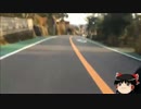 ゆっくりサイクリング　表ヤビツ峠　ダウンヒル編