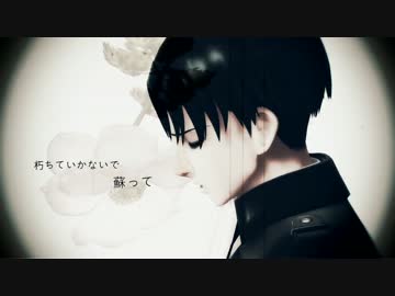 【進撃のMMD】magician's operation×兵長
