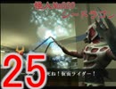 【仮面ライダー】6人目のライダーになるべく戦う実況【正義の系譜】part25