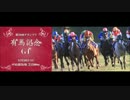 【競馬】　第５９回　有馬記念　出走馬　【グランプリ】