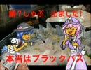 幻想釣行記v3 マゾとオバケがバスを食う旅