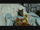 【拾い猫】おにゃのこ二人でぬくぬく