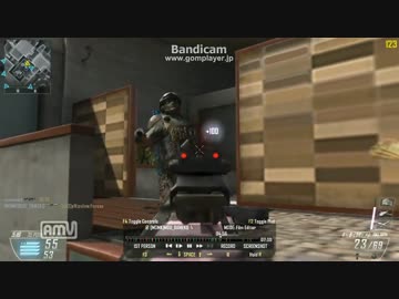 【PC版】ダメ子のへたれプレイ⑫ BO2 TDM【CoD:BO2】
