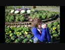 【あもたん。】恋空予報【踊ってみました】
