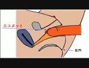 39　ペニスの先端でGスポットを攻める