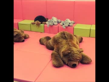 存在感を抑えきれないうさぎちゃんUC