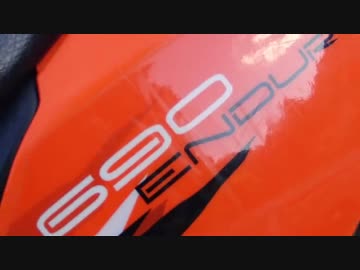 新たな相棒・・・・・