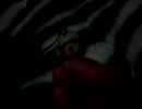 【かわ】かわいさを表現する動画３【いい】