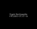 リコーダーを馬鹿にするな！！～第１部～
