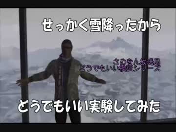 【ＧＴＡ５】せっかく雪が降ったから実験した【どうでもいい】