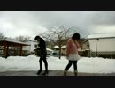 【Chibiぱら】白い雪のプリンセスは　踊ってみた【はるるん】