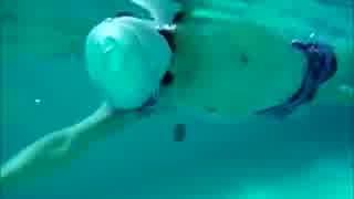 人気の クロール 動画 93本 ニコニコ動画