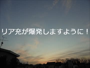 市民農園を借りて野菜を作ってみる【17週目】